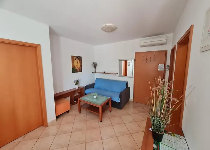 Spert Daire Umag